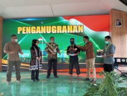 Tanama Hias Dengan Berbagai Jenis dan Harga