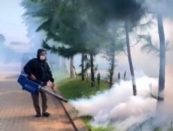 Harus Penuhi SOP, Dinkes PPU Ingatkan Masyarakat Tak Asal Lakukan Fogging